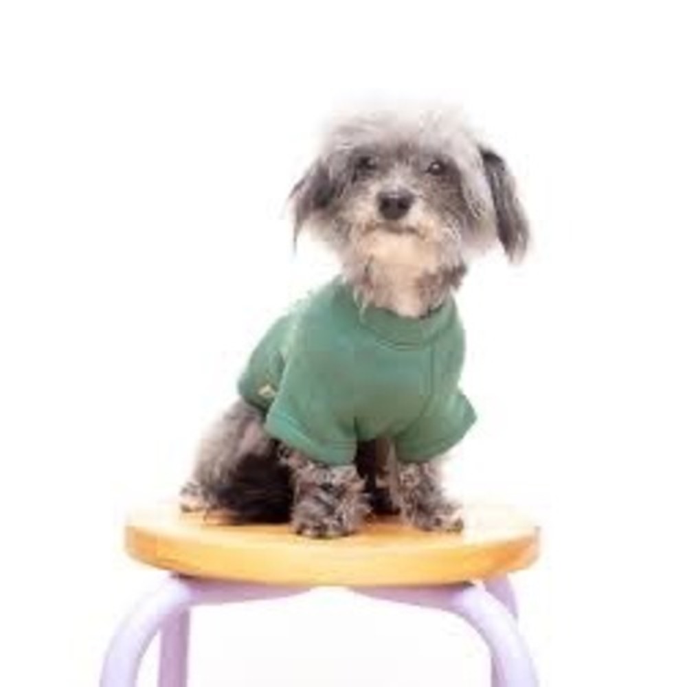 Oat Collective Nashville Pet Sweatshirt Heather Forest Green Dog Sweater XS NWT